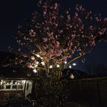 Lotus Pod House Homestay Horsell Bagian luar foto