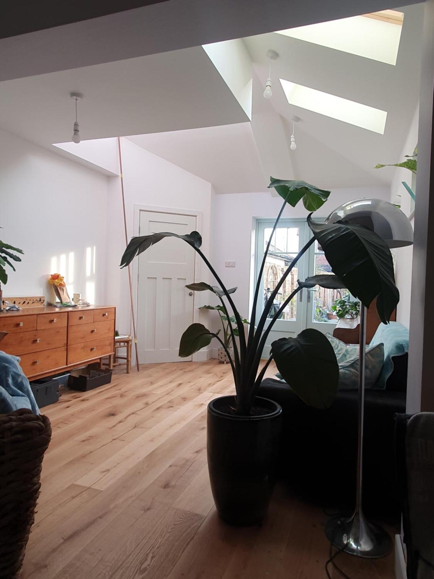 Lotus Pod House Homestay Horsell Bagian luar foto