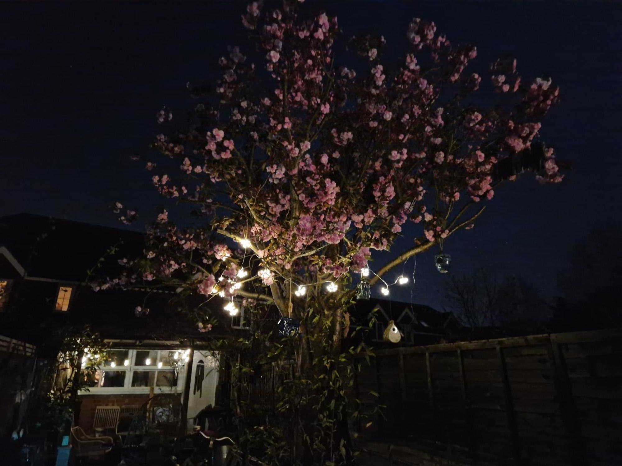 Lotus Pod House Homestay Horsell Bagian luar foto