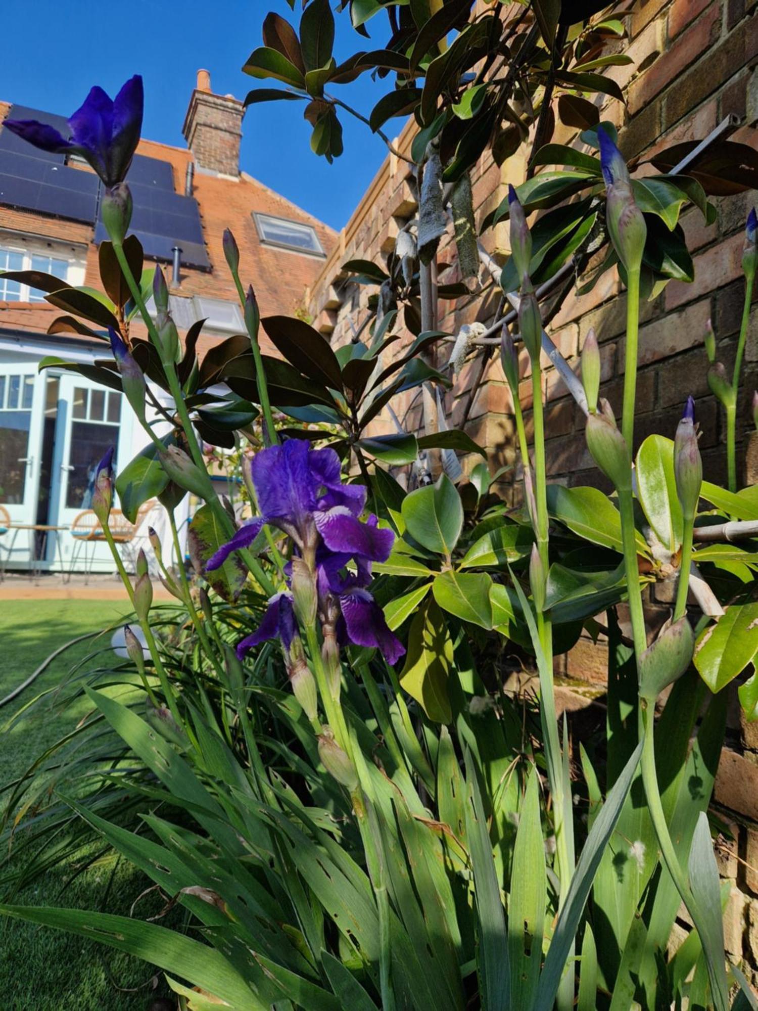 Lotus Pod House Homestay Horsell Bagian luar foto